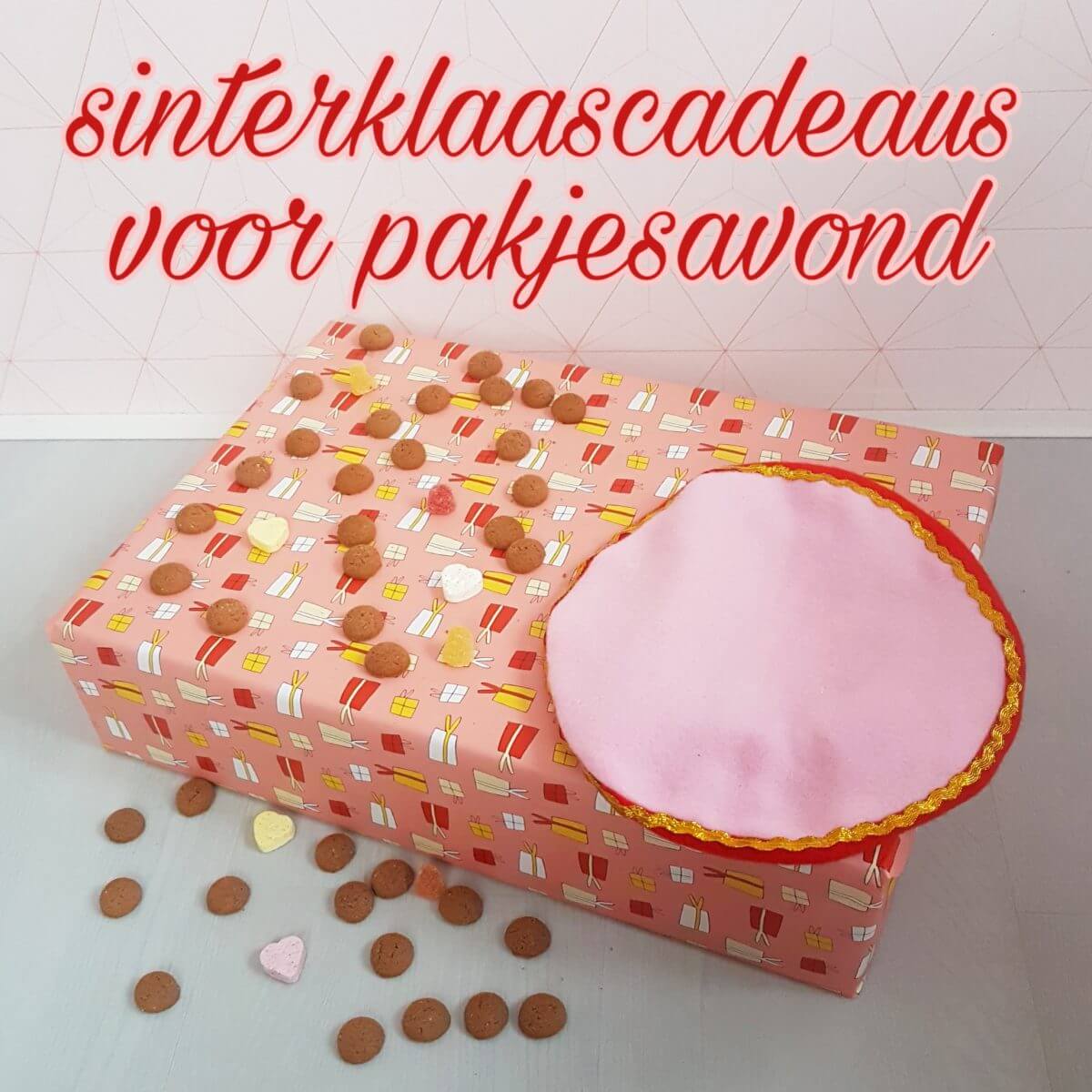 rechtbank Waarnemen lichtgewicht Sinterklaascadeaus pakjesavond: de leukste cadeau ideeën voor de Sint Leuk  met kids