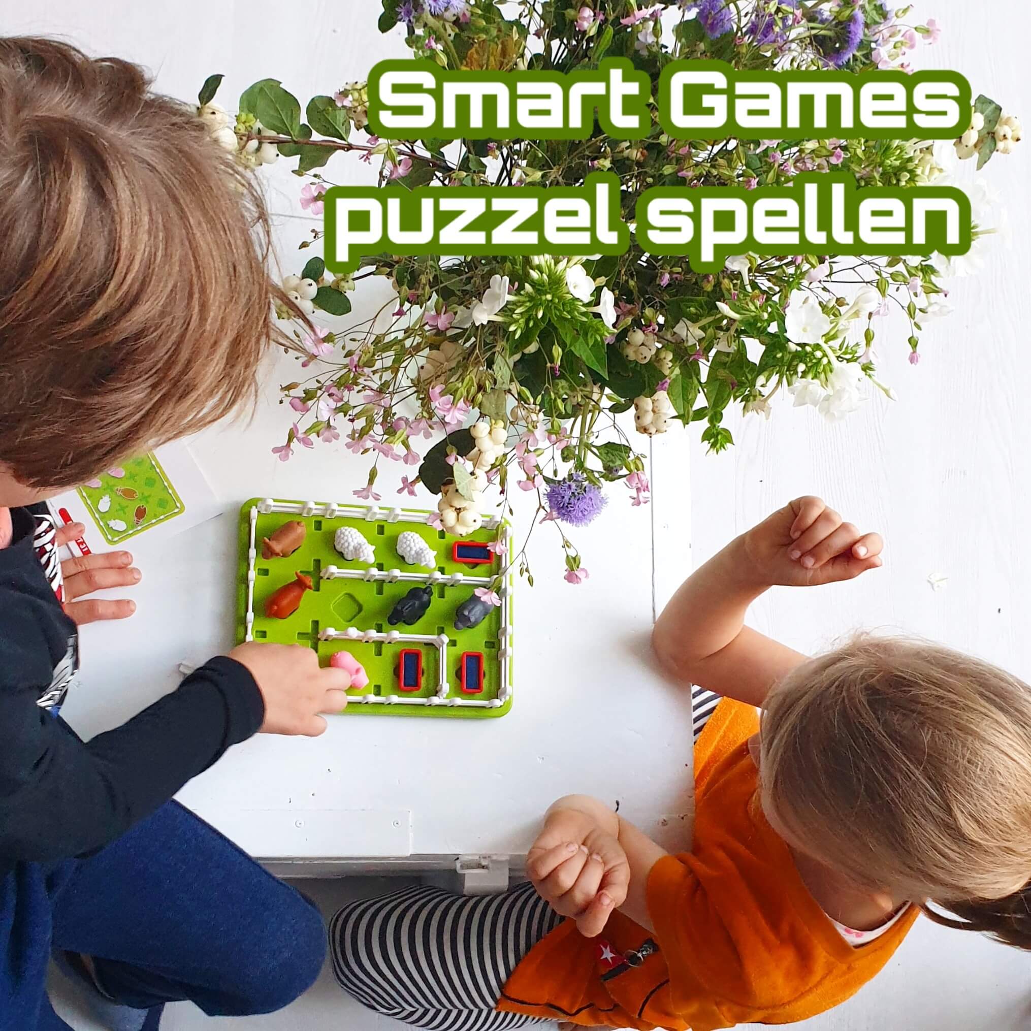 Smart Games: puzzel die je of samen kunt doen Leuk met kids
