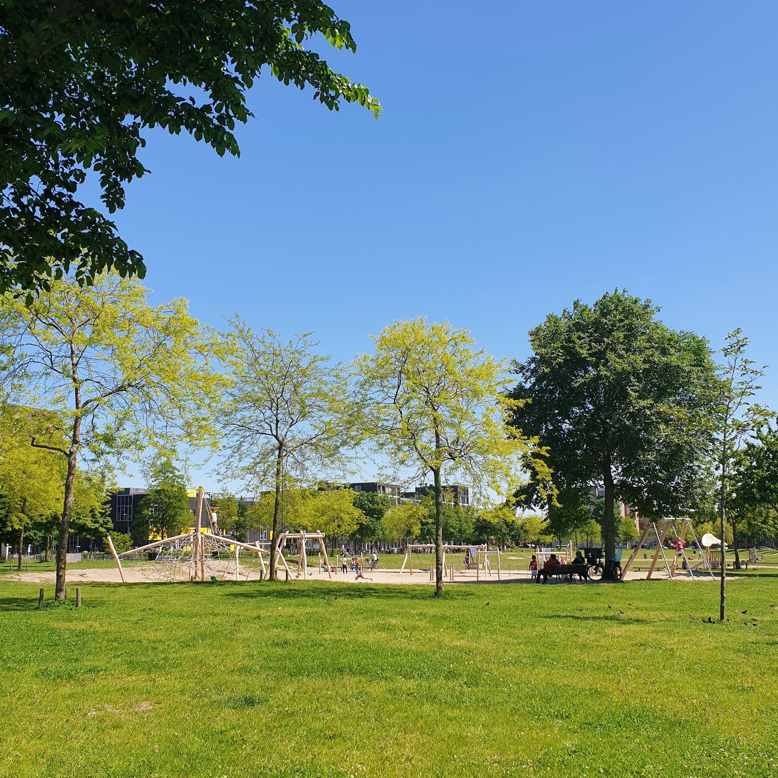 Het Theo van Goghpark, met vier speeltuinen en een kunstgrasveld.