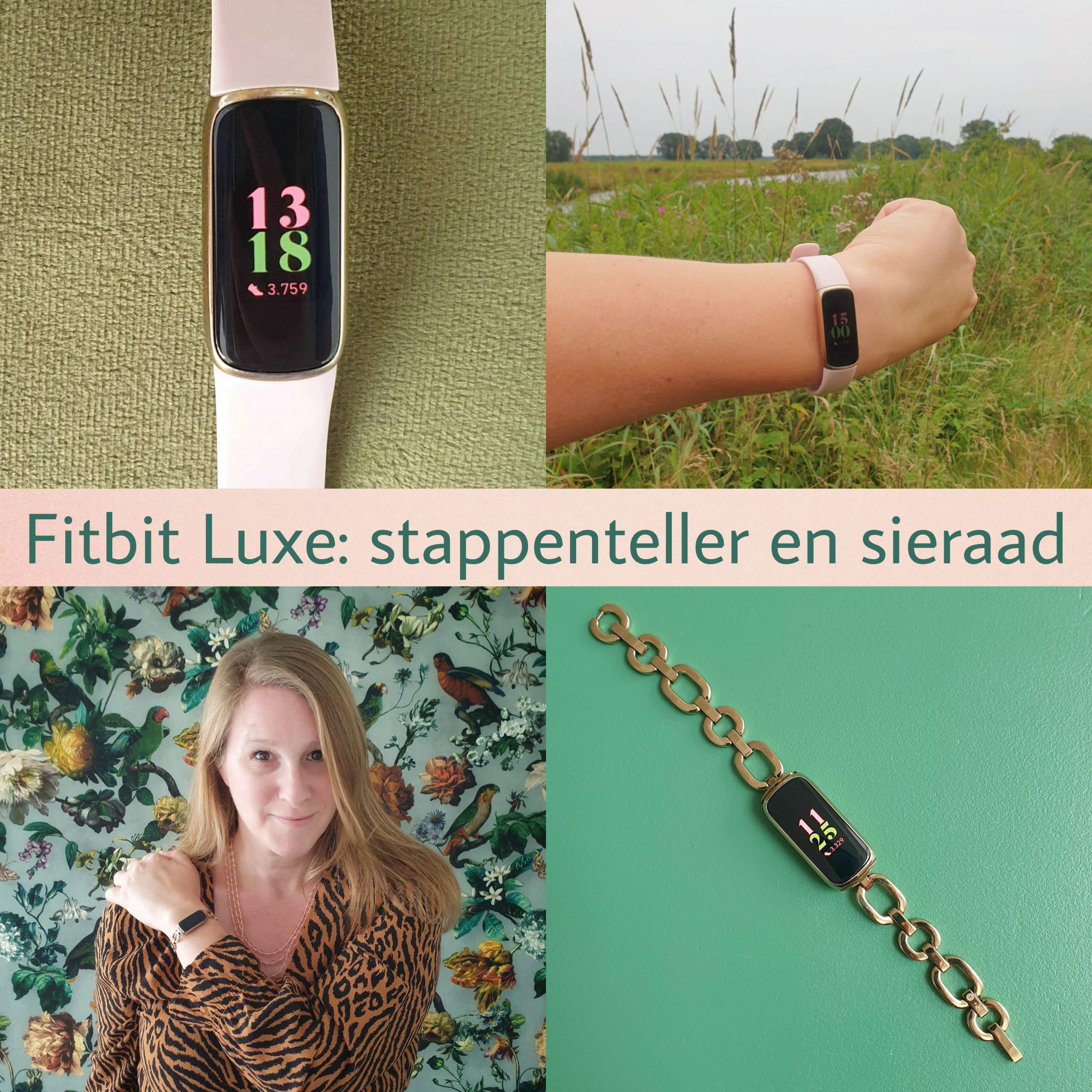 diefstal Wiskundig infrastructuur Fitbit Luxe review: horloge, stappenteller en sieraad - Leuk met kids Leuk  met kids