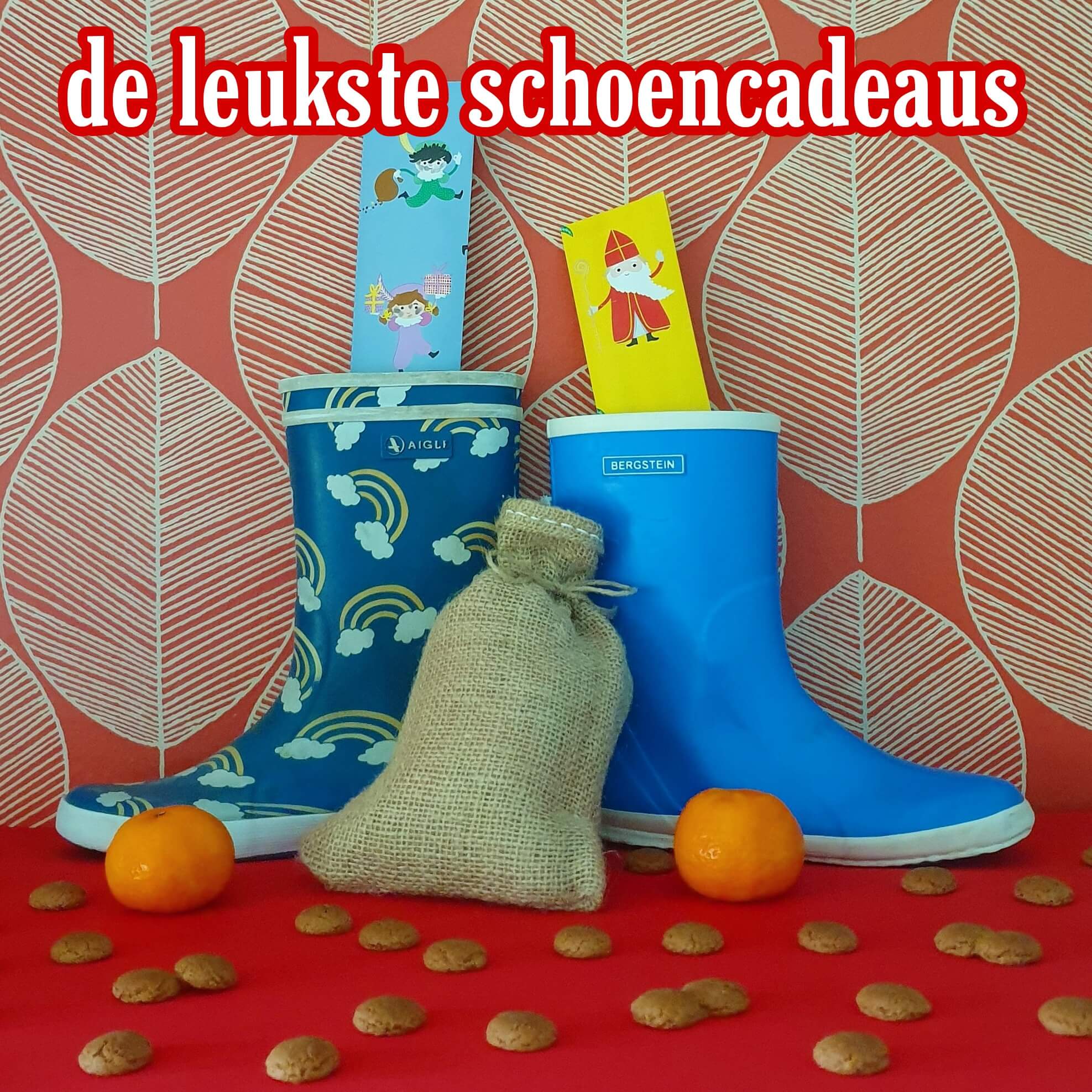 De favoriete schoencadeaus van Sinterklaas - Leuk met kids