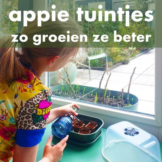 werkelijk Sloppenwijk zaterdag AH bloementuintjes en moestuintjes laten groeien: zo doen ze het beter Leuk  met kids