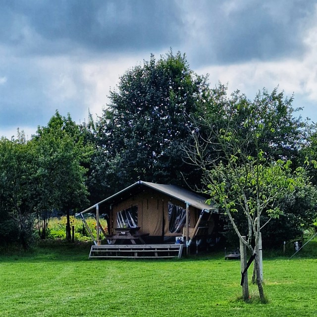 Buitenpost in Twello: blotevoetenpad, speeltuin, horeca, camping. In Twello bij Deventer vind je een mooi groen uitje genaamd Buitenpost. Met voor kinderen een blotevoetenpad en speeltuin. En voor ouders een restaurant en terras in de tuin. Oh ja en er is ook een camping.