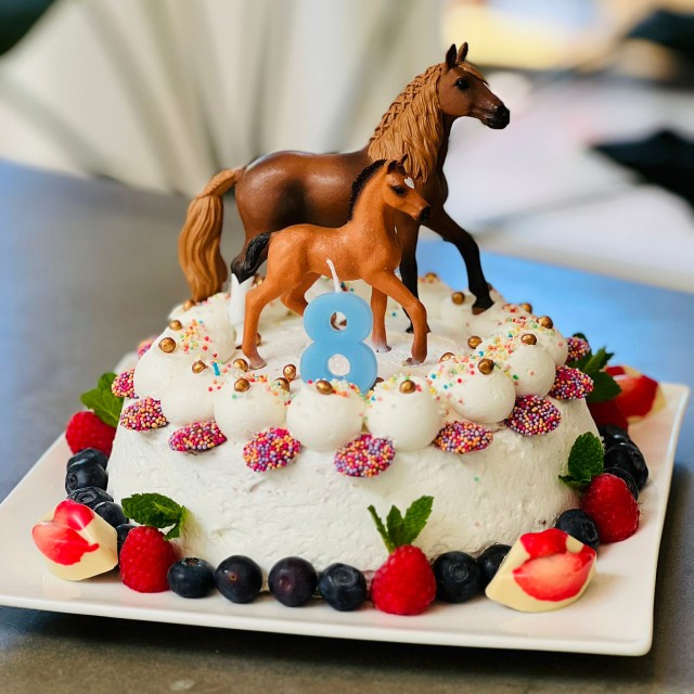 HEMA heeft een kale taart om te versieren. Deze taart met paarden was voor ons nichtje van 8 jaar. 