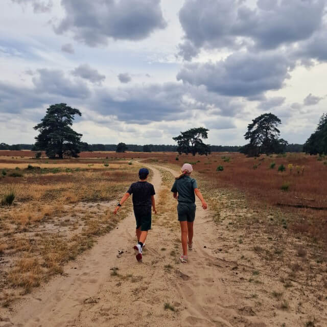 Wandelen over Nationaal Park de Hoge Veluwe.