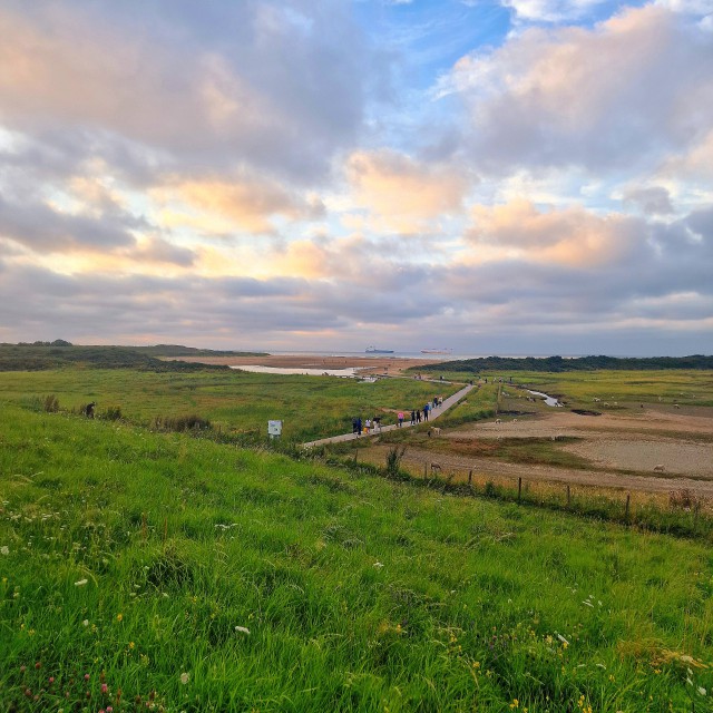 In Nieuwvliet-Bad is een houten loopbrug naar zee ter hoogte van Beach Resort Nieuwvliet-Bad. Dit pad naar strandopgang 16 loopt door natuurgebied de Verdronken Polder.