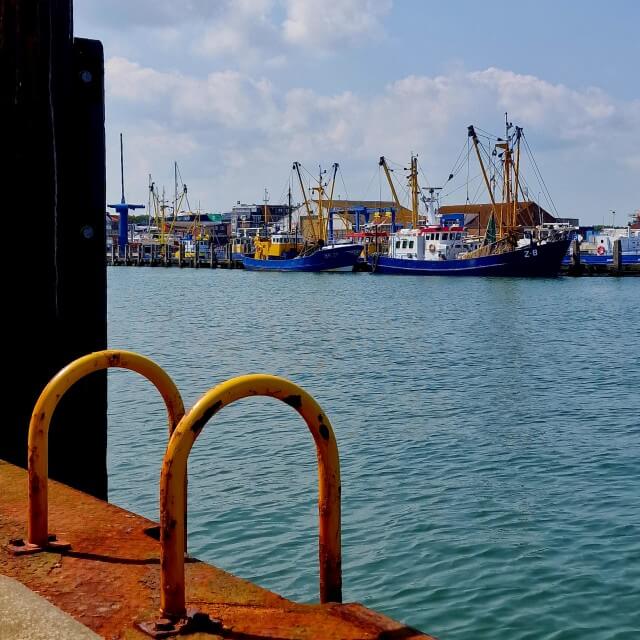 Zeeuws Vlaanderen met kinderen: kindvriendelijke tips voor gezinnen. Breskens is een havenstadje, waar visliefhebbers volop aan hun trekken komen. Verspreid over het centrum en de haven vind je allerlei kleurrijke kunstwerken, waarvan de rode pinguïns waarschijnlijk het bekendste zijn. De haven is nog volop in gebruik voor commerciële scheepvaart, maar je ziet er ook veel zeilboten. Je kunt hier ook een boottocht maken, bijvoorbeeld om zeehonden te spotten.