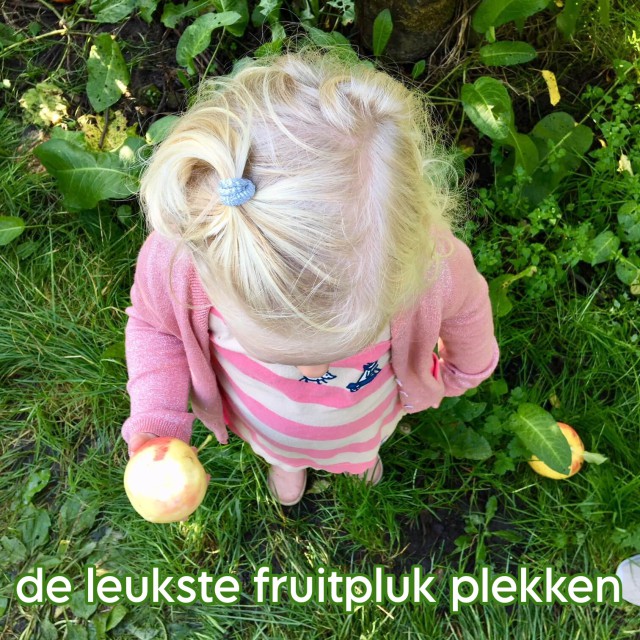 De jaarlijkse fruitpluk en appelpluk met kinderen: onze tips. Een van de leukste dingen om te doen op een zonnige herfstdag: appels en peren plukken met de kids! Dit zijn onze favoriete plekken voor de jaarlijkse appelpluk met kinderen.