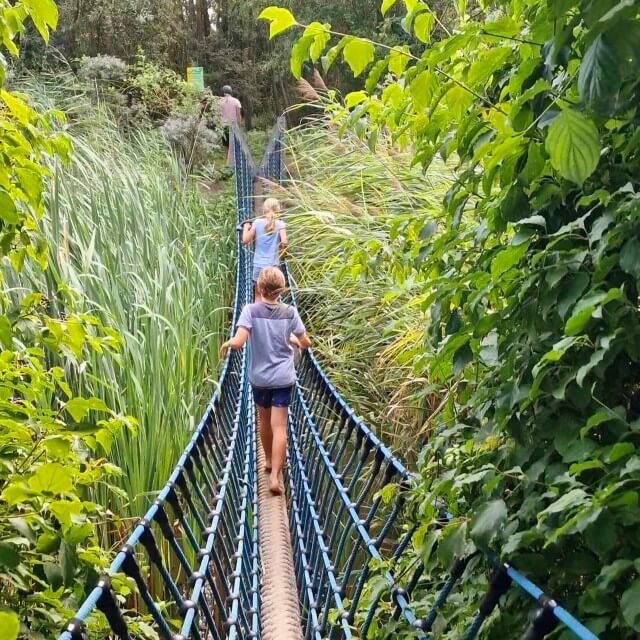 Zeeuws Vlaanderen met kinderen: kindvriendelijke tips voor gezinnen. In de Groese Polder kun je leuk wandelen. We parkeerden bij Parkeerplaats Strand Groede. Vervolgens maakten we een wandeling langs de Hangbrug Cletemspolder, het veerbootje en de speeltuin. Om daarna door te gaan naar het strand Groede en strandtent Puur.