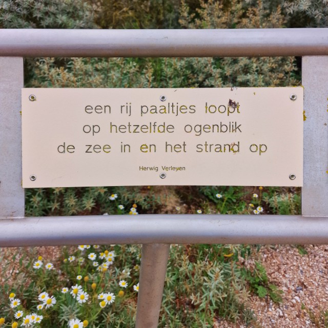 Het Zwin is een uitloper van de zee op de grens van Nederland en België. Er is een mooi strand, maar toen wij er op een winderige dag waren, was de zee onstuimiger dan bijvoorbeeld in Cadzand. Het is een prachtig natuurgebied om te wandelen of fietsen, vol vogels.