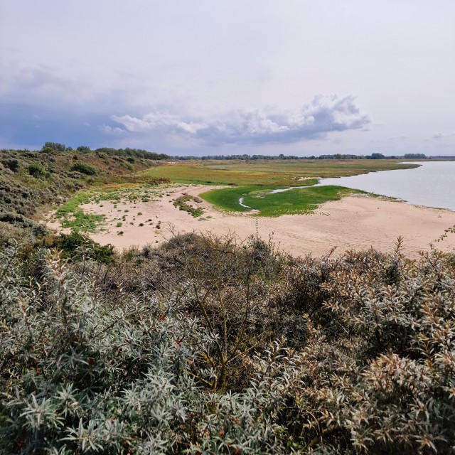 Het Zwin is een uitloper van de zee op de grens van Nederland en België. Er is een mooi strand, maar toen wij er op een winderige dag waren, was de zee onstuimiger dan bijvoorbeeld in Cadzand. Het is een prachtig natuurgebied om te wandelen of fietsen, vol vogels.