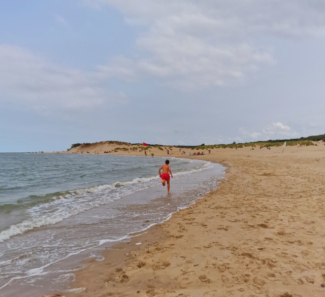 Het Zwin is een uitloper van de zee op de grens van Nederland en België. Er is een mooi strand, maar toen wij er op een winderige dag waren, was de zee onstuimiger dan bijvoorbeeld in Cadzand. Het is een prachtig natuurgebied om te wandelen of fietsen, vol vogels.