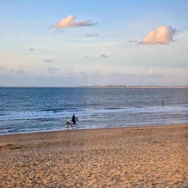 Paardrijden op het strand.