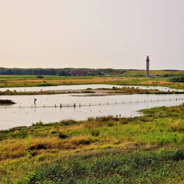 In Nieuwvliet-Bad is een houten loopbrug naar zee ter hoogte van Beach Resort Nieuwvliet-Bad. Dit pad naar zee bij strandopgang 16 loopt door natuurgebied de Verdronken Polder.