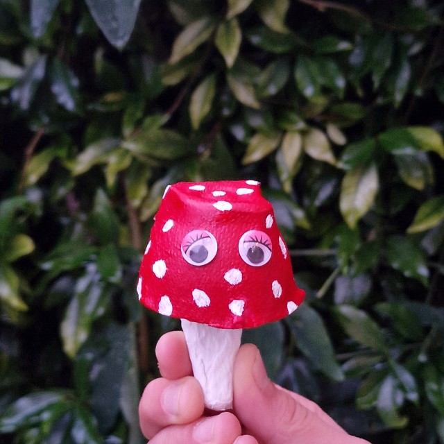 Paddenstoel knutselen en tekenen: leuke ideeën. Zoals een paddestoel maken van eierdoos. Leuk voor thuis en op school.