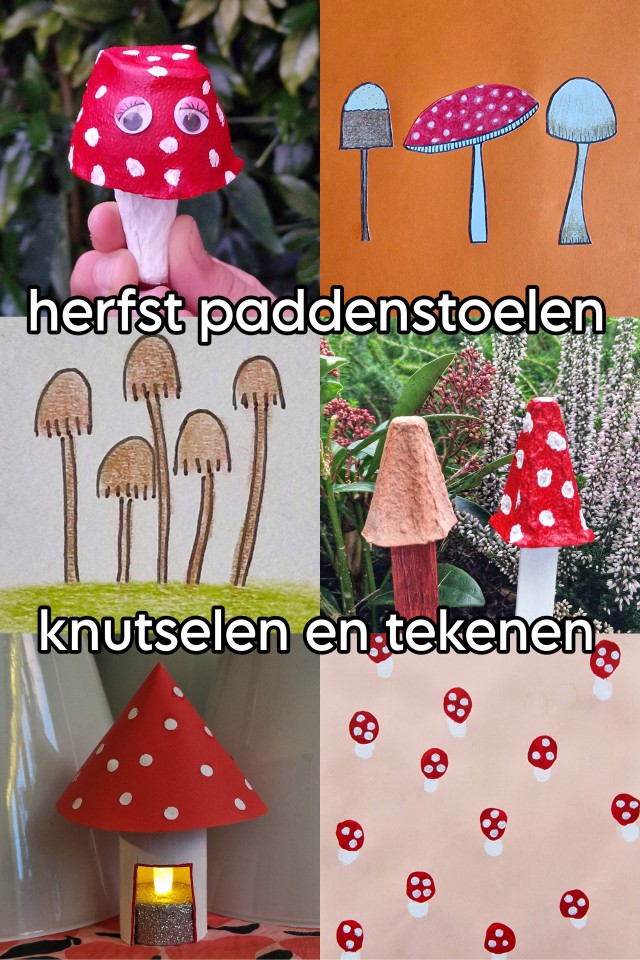 Paddenstoel knutselen en tekenen: leuke ideeën. Op zoek naar een leuk idee om een paddenstoel te knutselen of tekenen? Hier vind je leuke paddestoel knutsels en tekeningen, zowel bruine als rood met witte stippen paddestoelen. En heb je deze herfst al paddenstoelen in de natuur gespot?