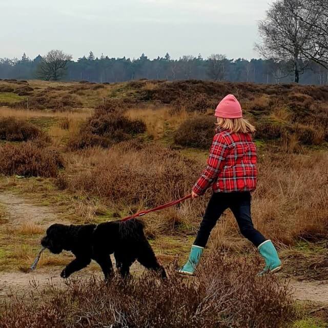 15 tips voor een kerst fotoshoot met kinderen. Een winterse wandeling is een leuk moment voor een niet geposeerde kerstfoto. Zeker als je de hond meeneemt. 